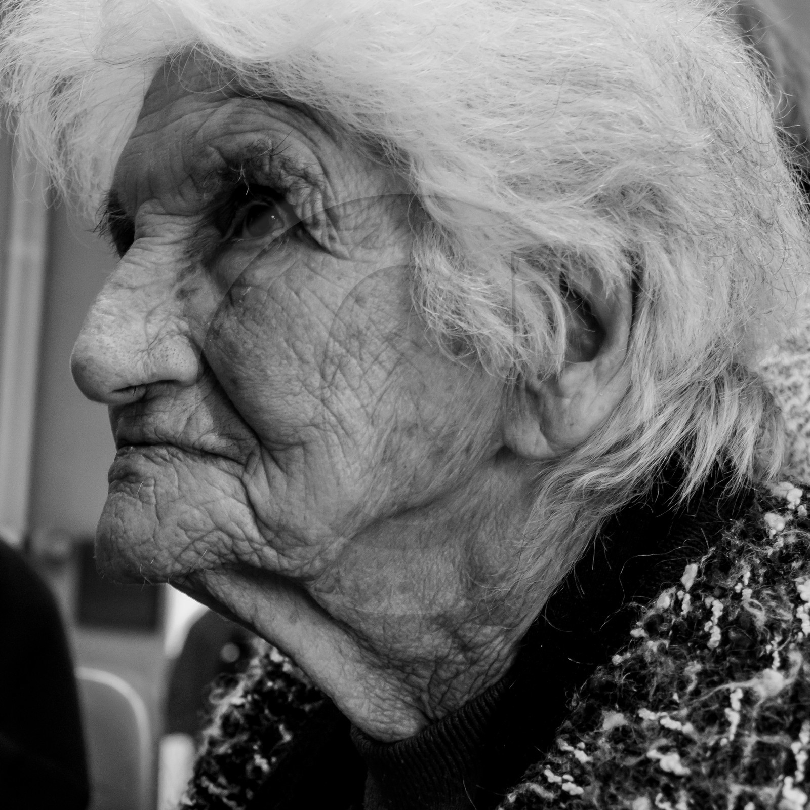 L'Ouort de Bénévent - 05 avril 2017