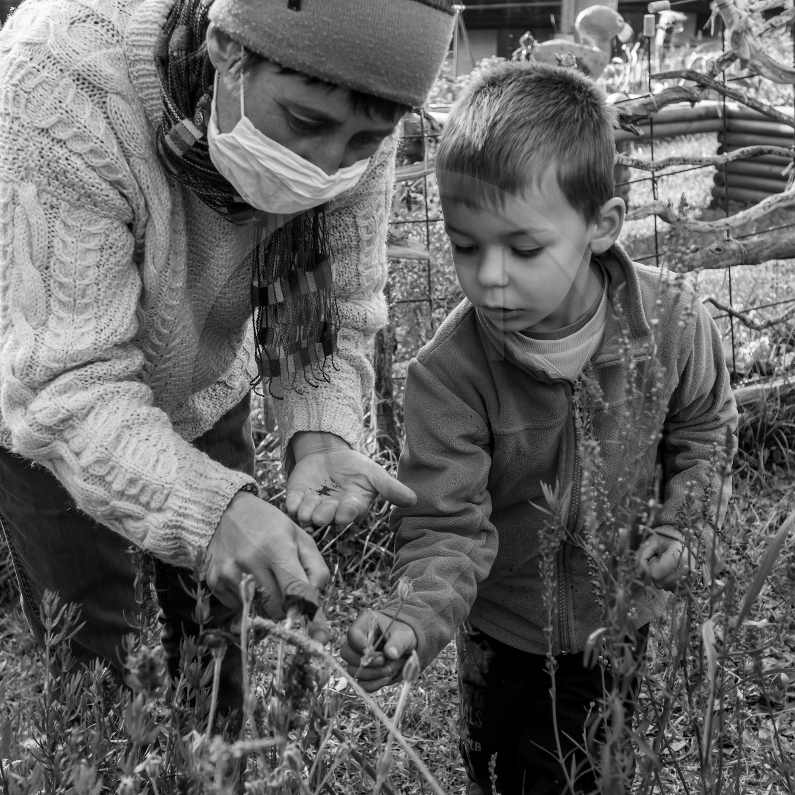 Semis, tournesols et jeux Semis, tournesols et jeux