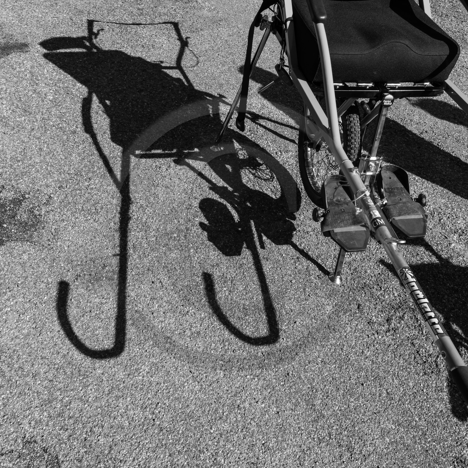 02 octobre 2019 : promenade en joelette