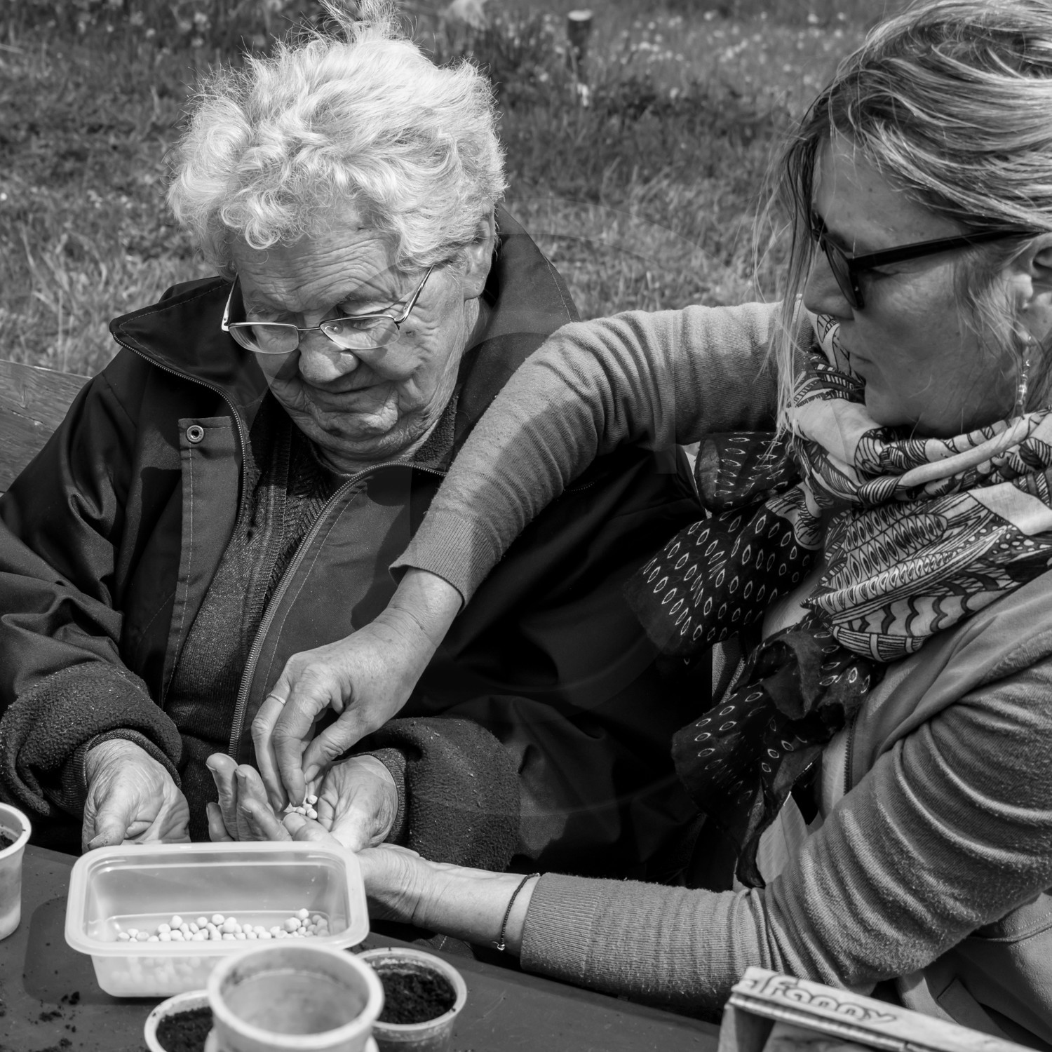 Semis et arrosages Semis et arrosages