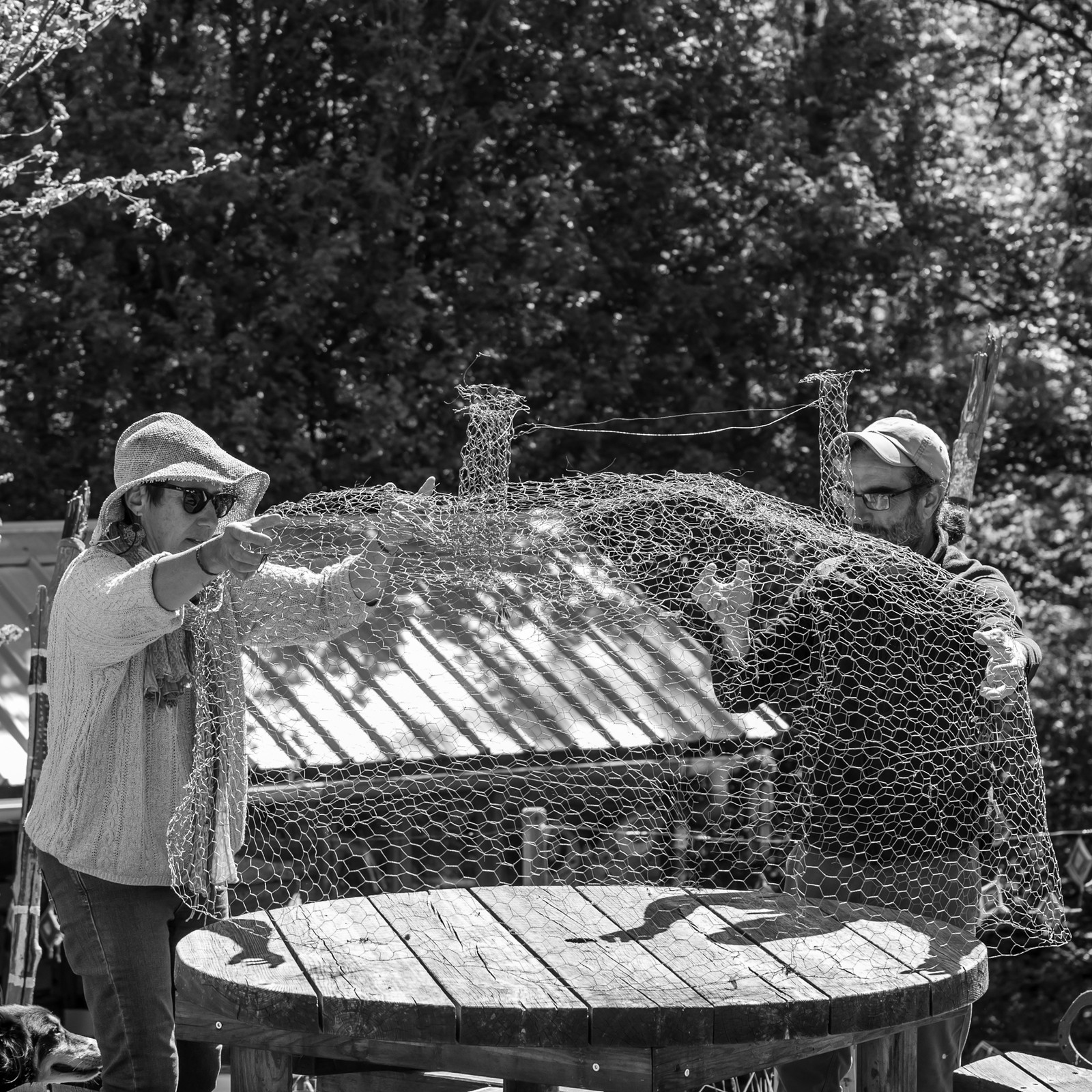 16 mai 2025 : Journée des aidants