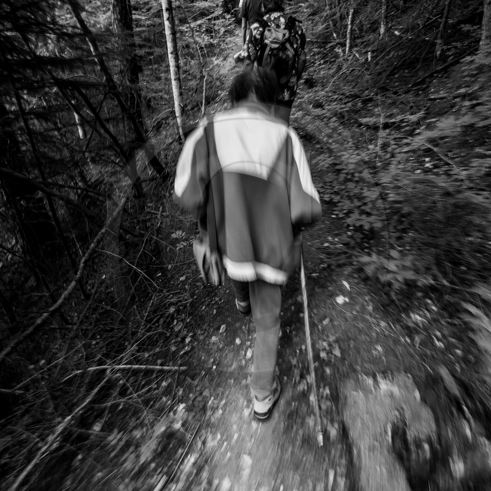 Arpenter le paysage avec Martin de la Soudière