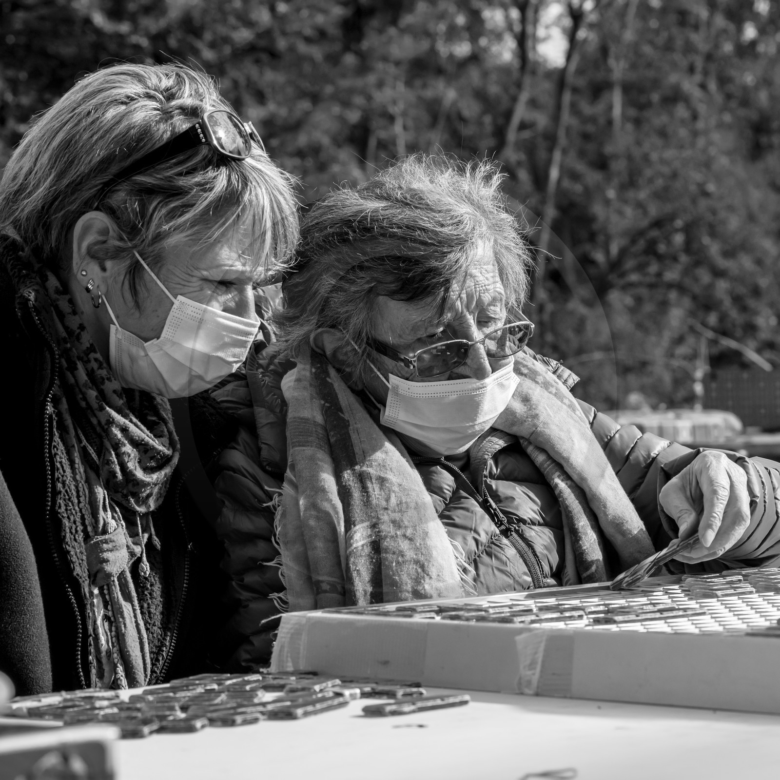 Semis, tournesols et jeux Semis, tournesols et jeux