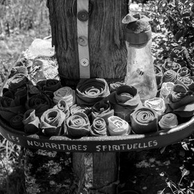 12 juin 2019 : Après-midi au jardin