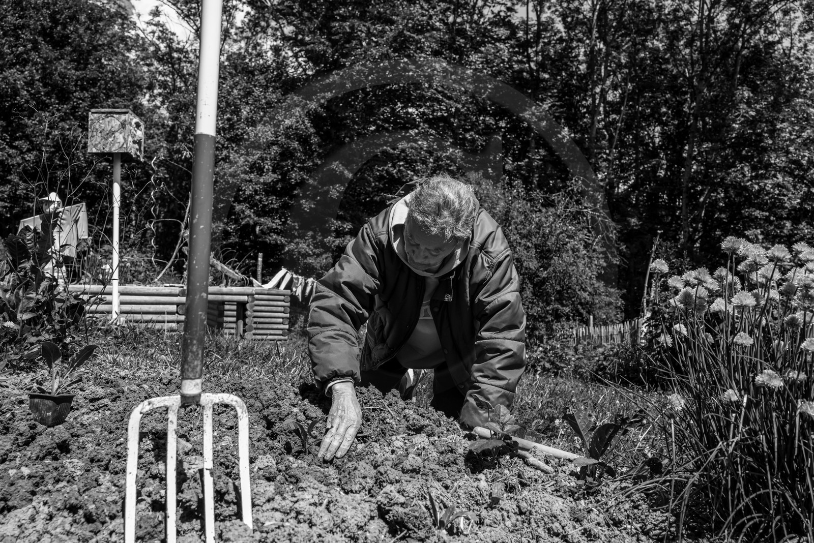12 juin 2024 : création d'un jeu et jardinage