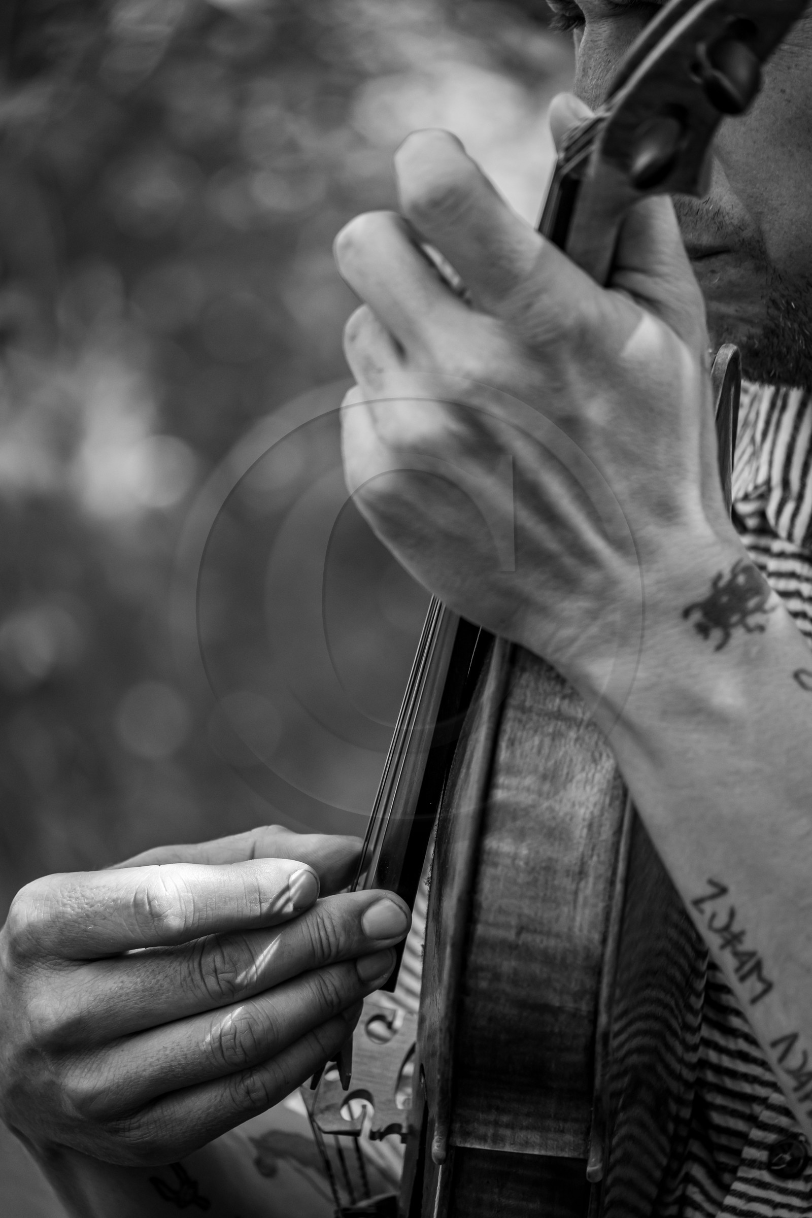 26 juin 2024 : Sieste Musicale avec Balthazar