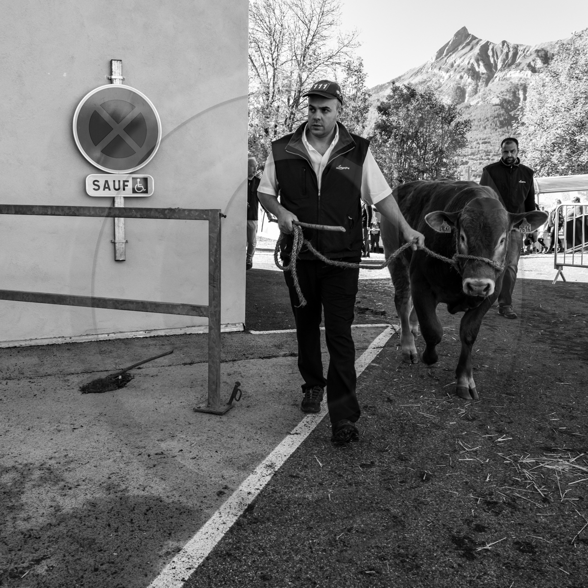 Rencontres paysannes à Saint-Bonnet en Champsaur