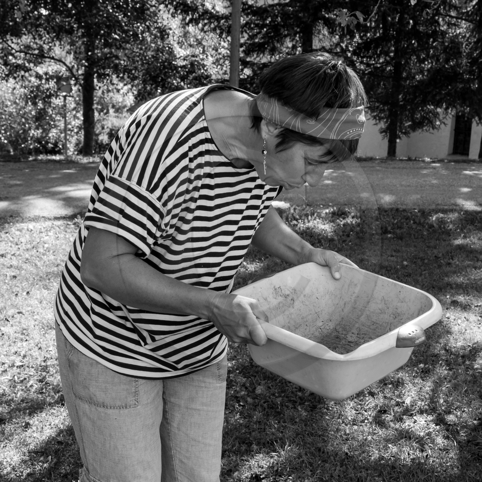 13 septembre 2017 - Chemins - Graines