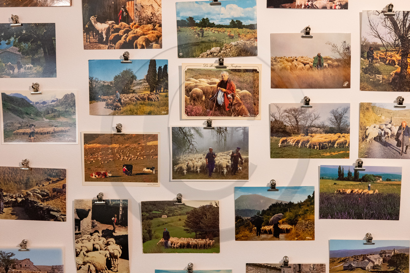 Expositions à la maison du Berger - Champoléon