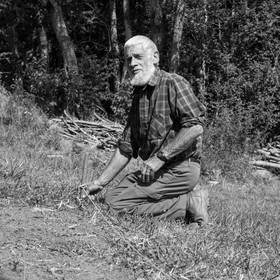 13 septembre 2017 - Chemins - Graines