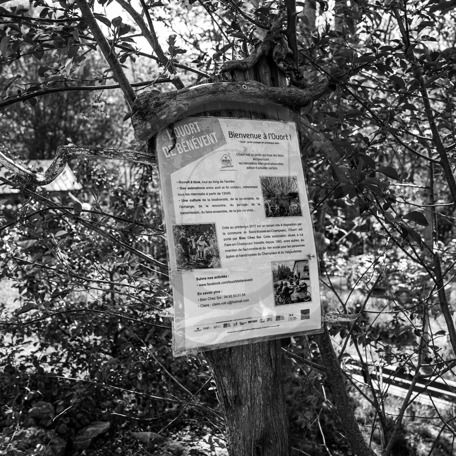 15 mai 2023 : Journée des aidants et des aidés