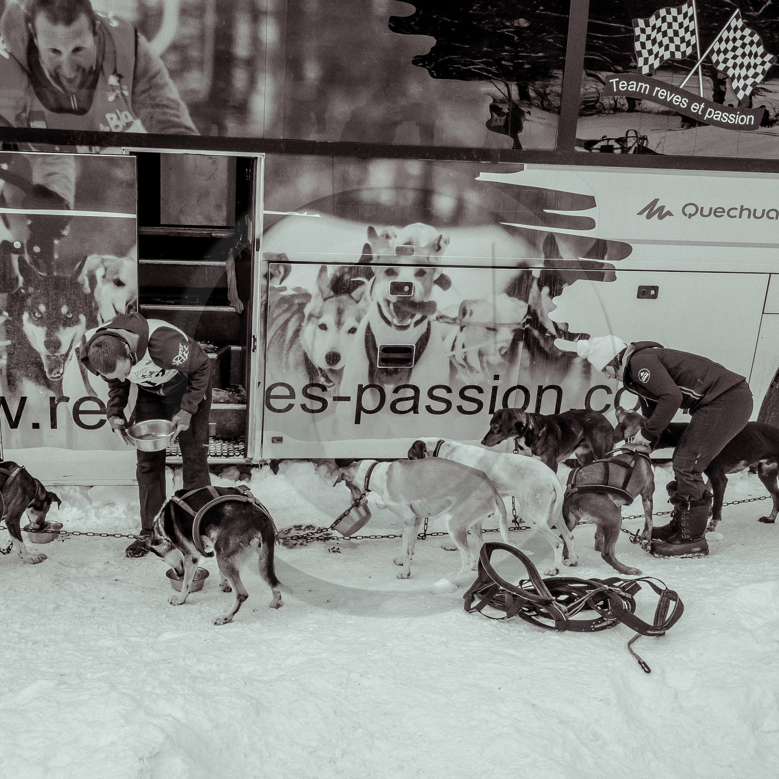 La Valgaude Traineau 2015 La Valgaude Traineau 2015