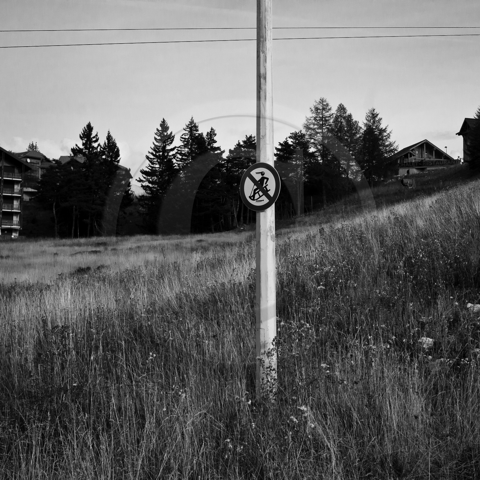 En attendant la neige