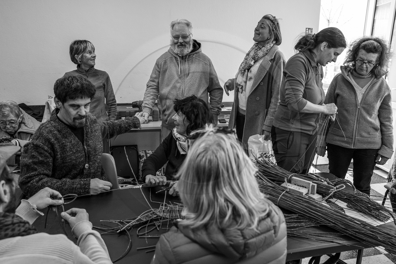 10 avril 2024 : Osier, laine et taille 10 avril 2024 : Osier, laine et taille