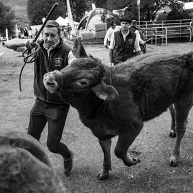 Rencontres paysannes à Saint-Bonnet en Champsaur