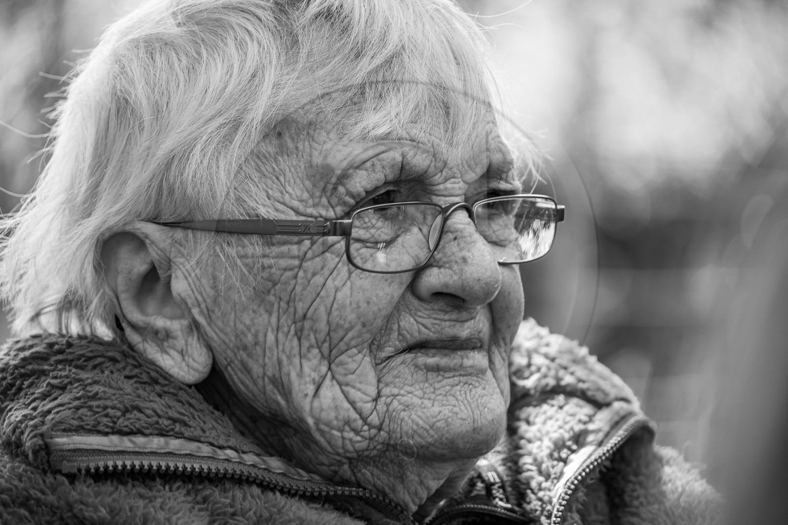 30 août 2023 : Lectures au jardin