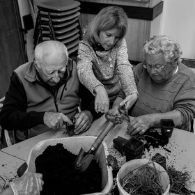 Atelier repiquage de plants de ciboulettes - 05 04 2017
