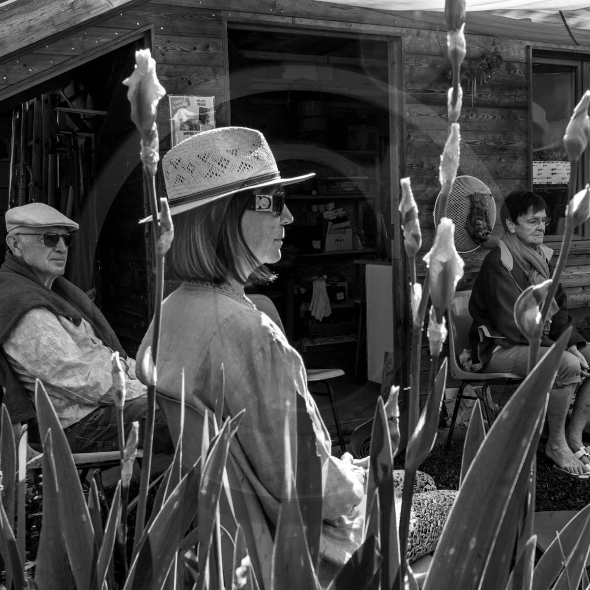 20 mai 2022 : 2ème journée des aidants 20 mai 2022 : 2ème journée des aidants