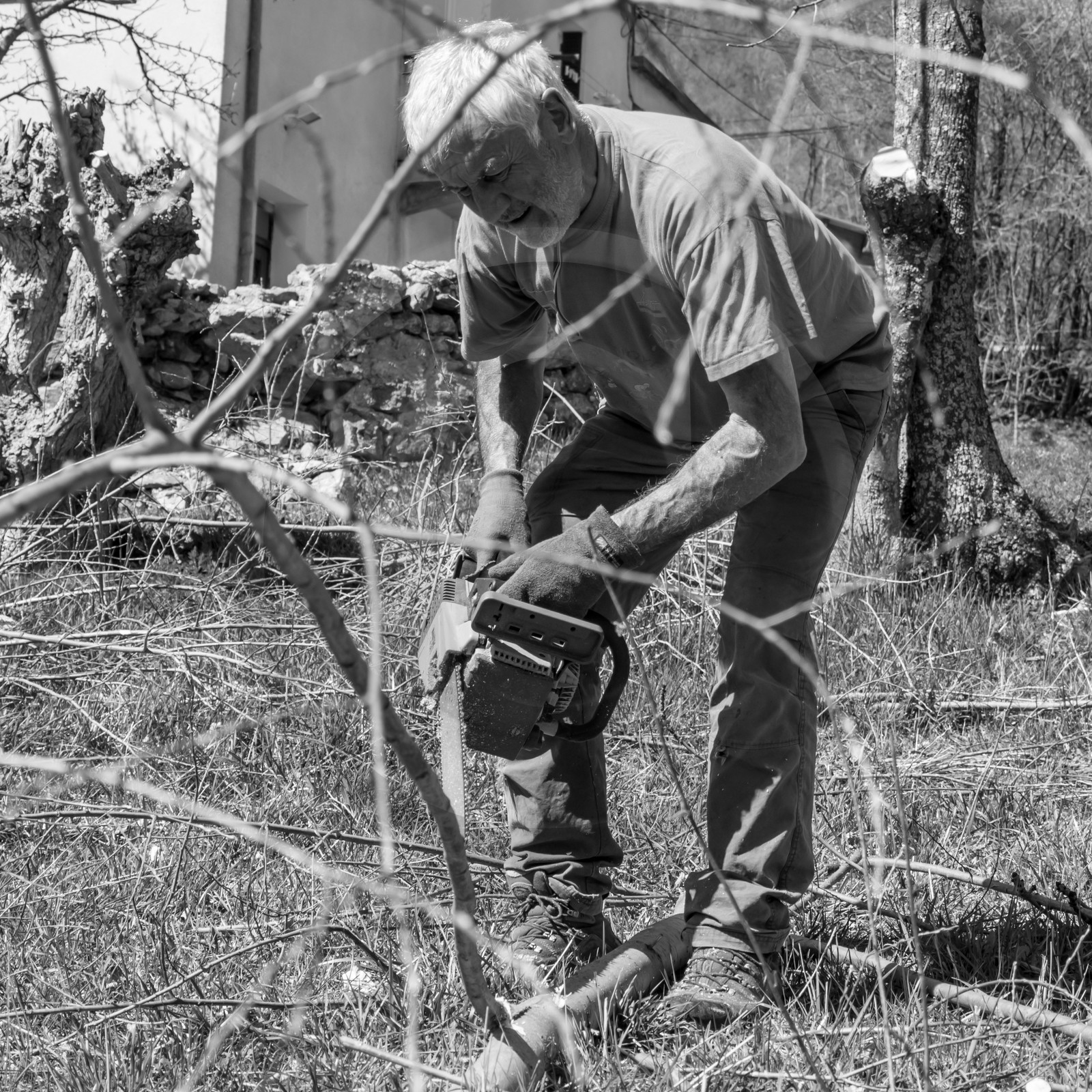 Nettoyage du terrain - Coupe du bois - 29 03 17