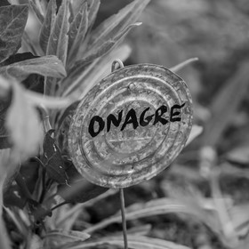 16 mai 2025 : Journée des aidants