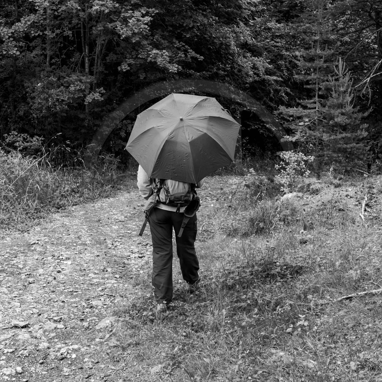 04 juillet 2021 : Journée Art & Nature