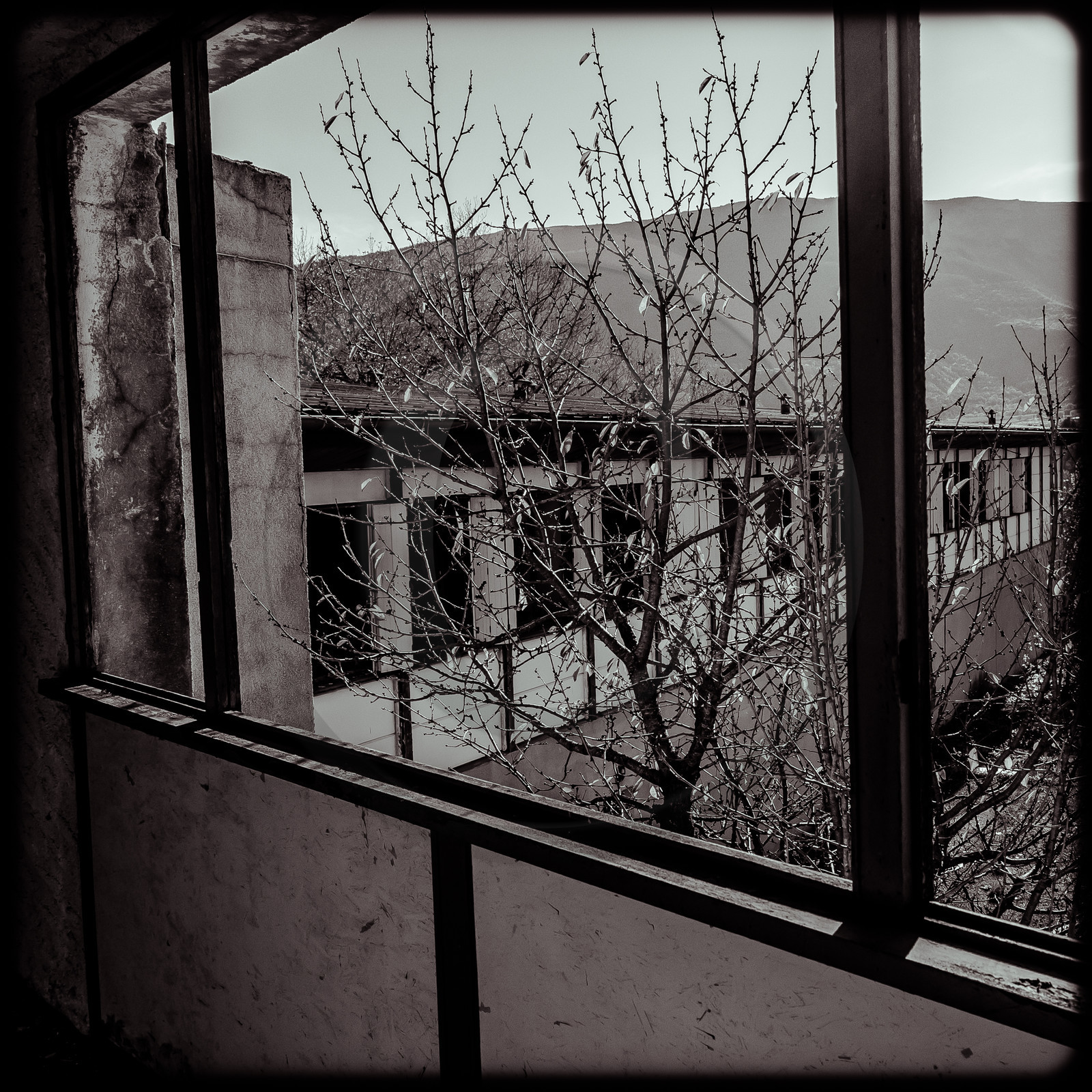 Le Relais Boré Le Relais Boré