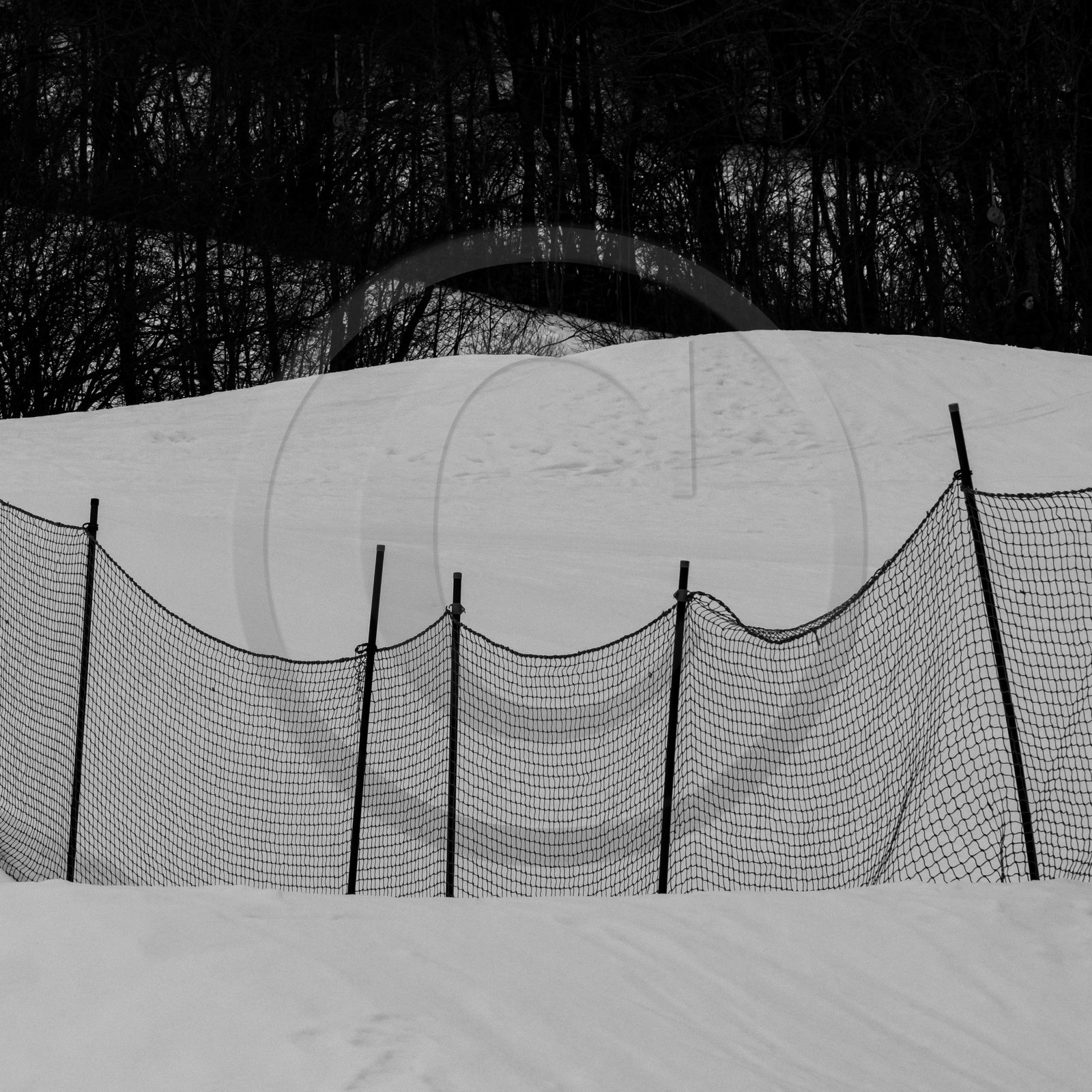 Les confineigés Les confineigés