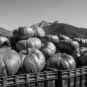 dlebioda-03102016-L1174510.jpg