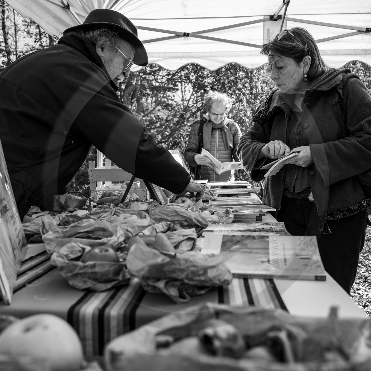 05 novembre 2022 : des pommes et des soupes