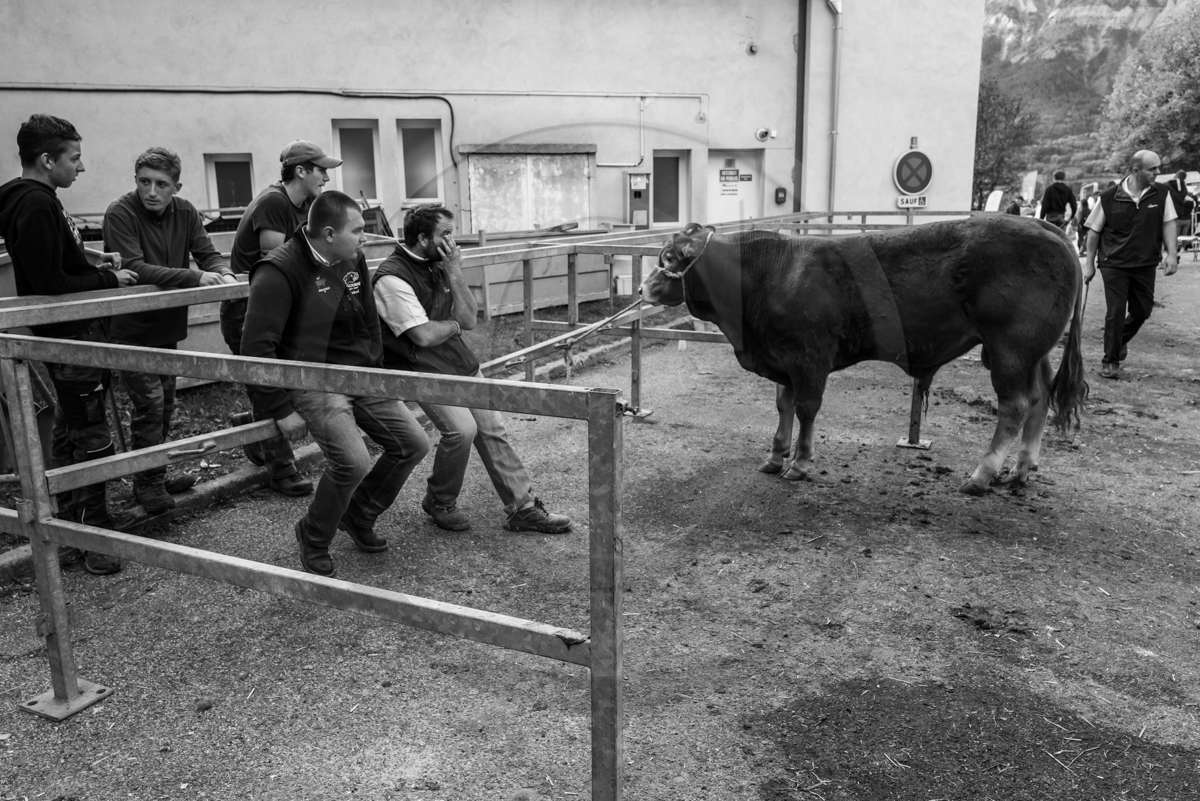 Rencontres paysannes à Saint-Bonnet en Champsaur