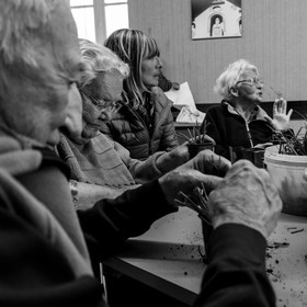 Atelier repiquage de plants de ciboulettes - 05 04 2017