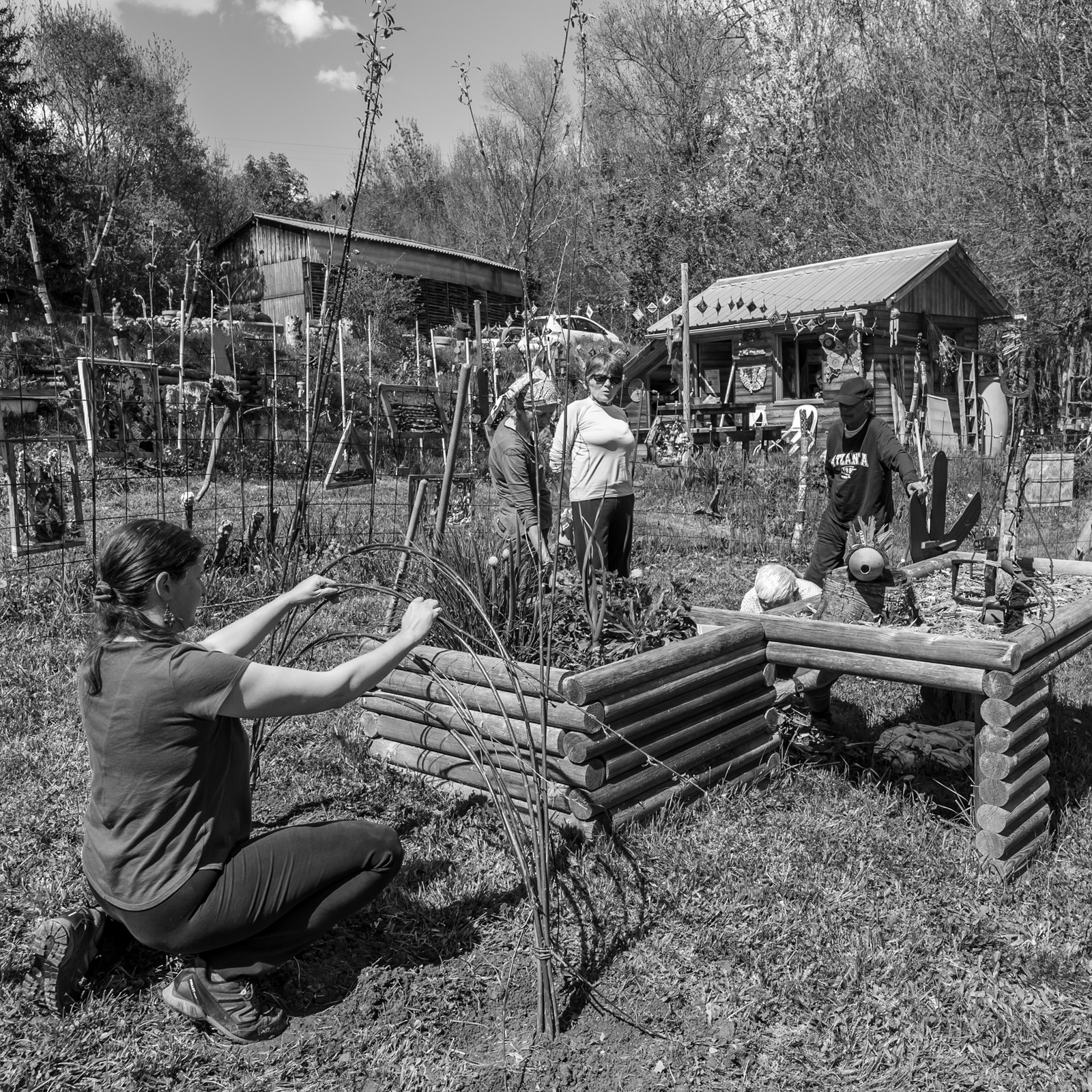 30 avril 2025 : Un oiseau en osier